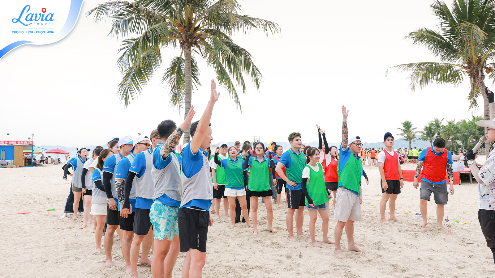 Team Building Bãi Biển Hạ Long – Bùng Nổ Năng Lượng Tập Thể