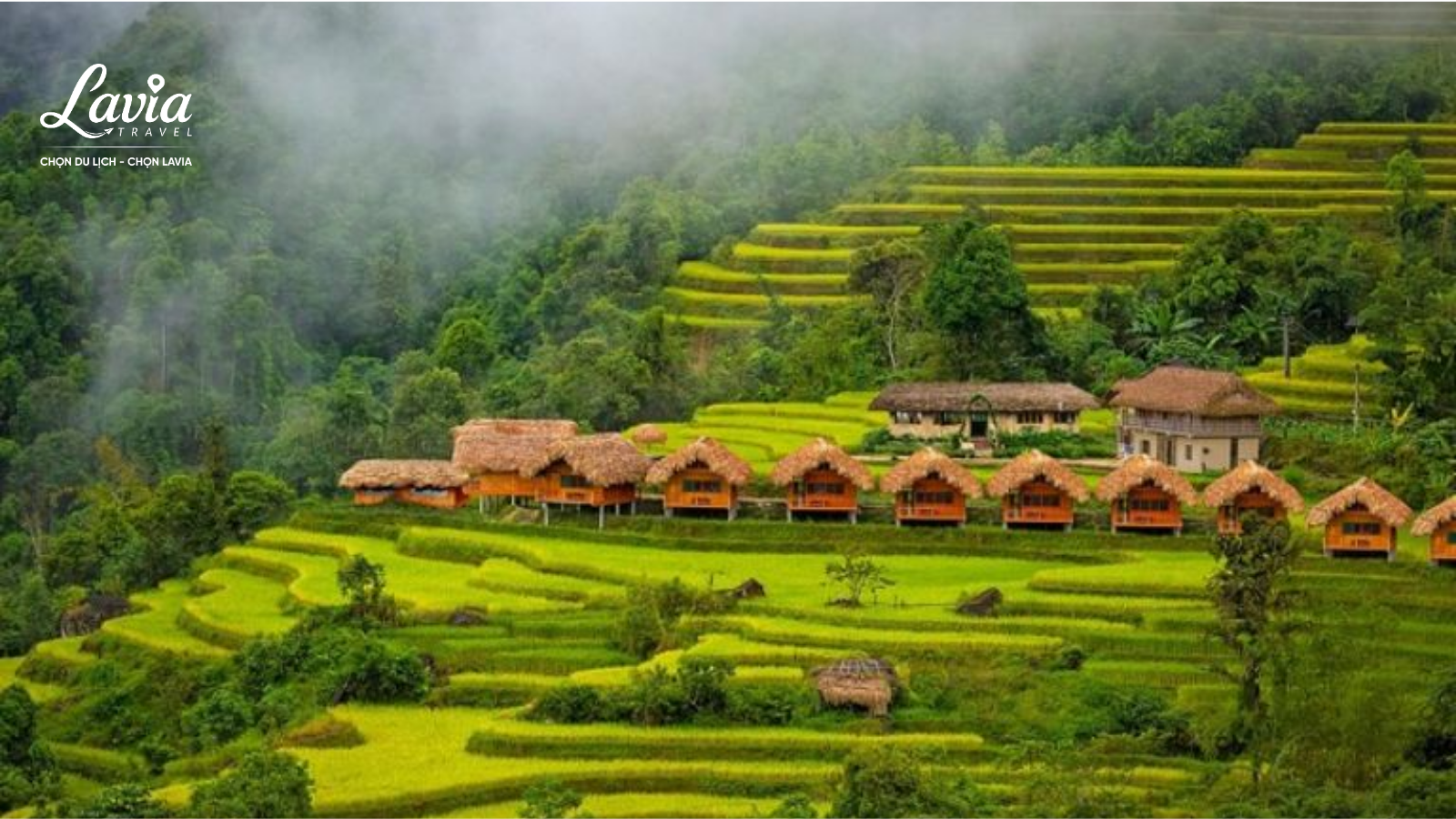 Homestay Hà Giang 
