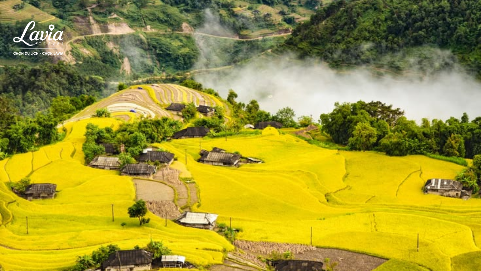 Hoàng Su Phì vẻ đẹp của ruộng bậc thang