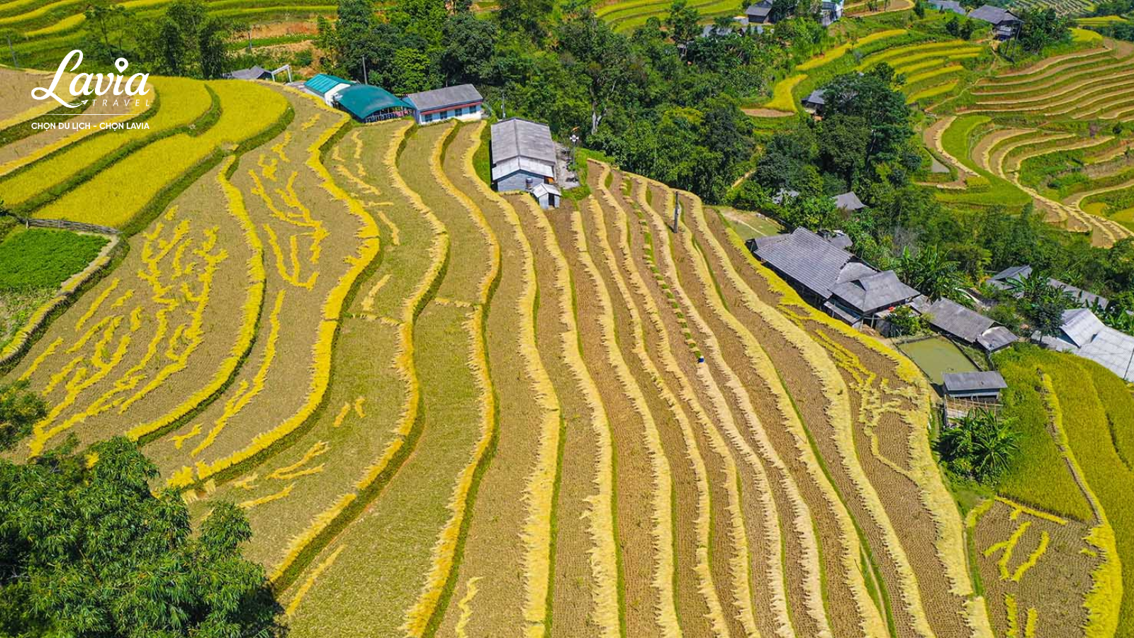 Bản Luốc Hoàng Su Phì 