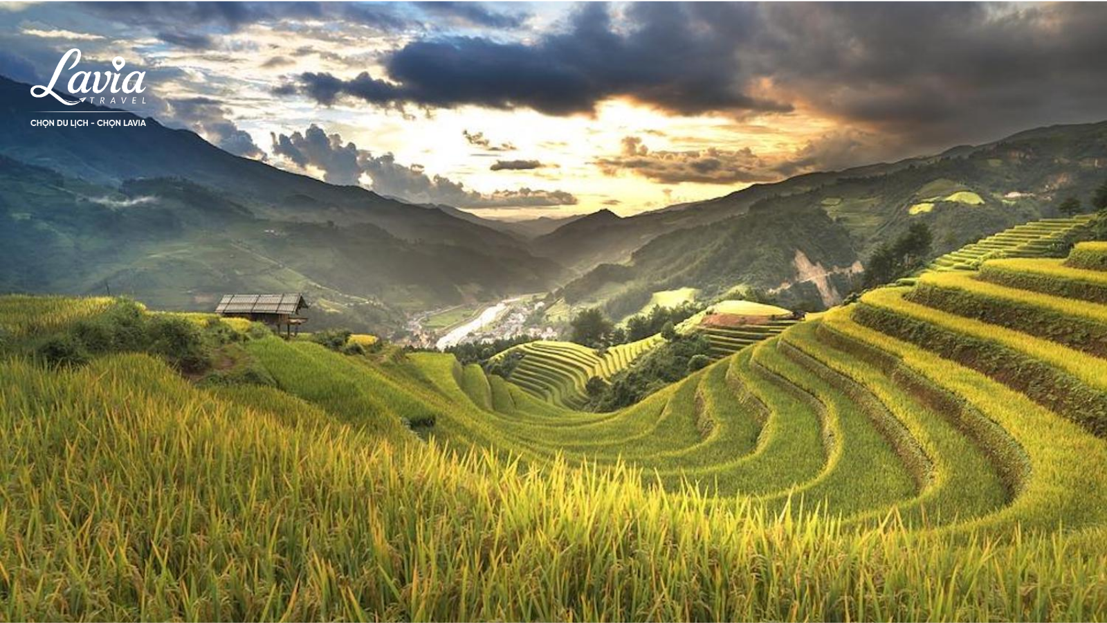 Thông Nguyên Hoàng Su Phì 