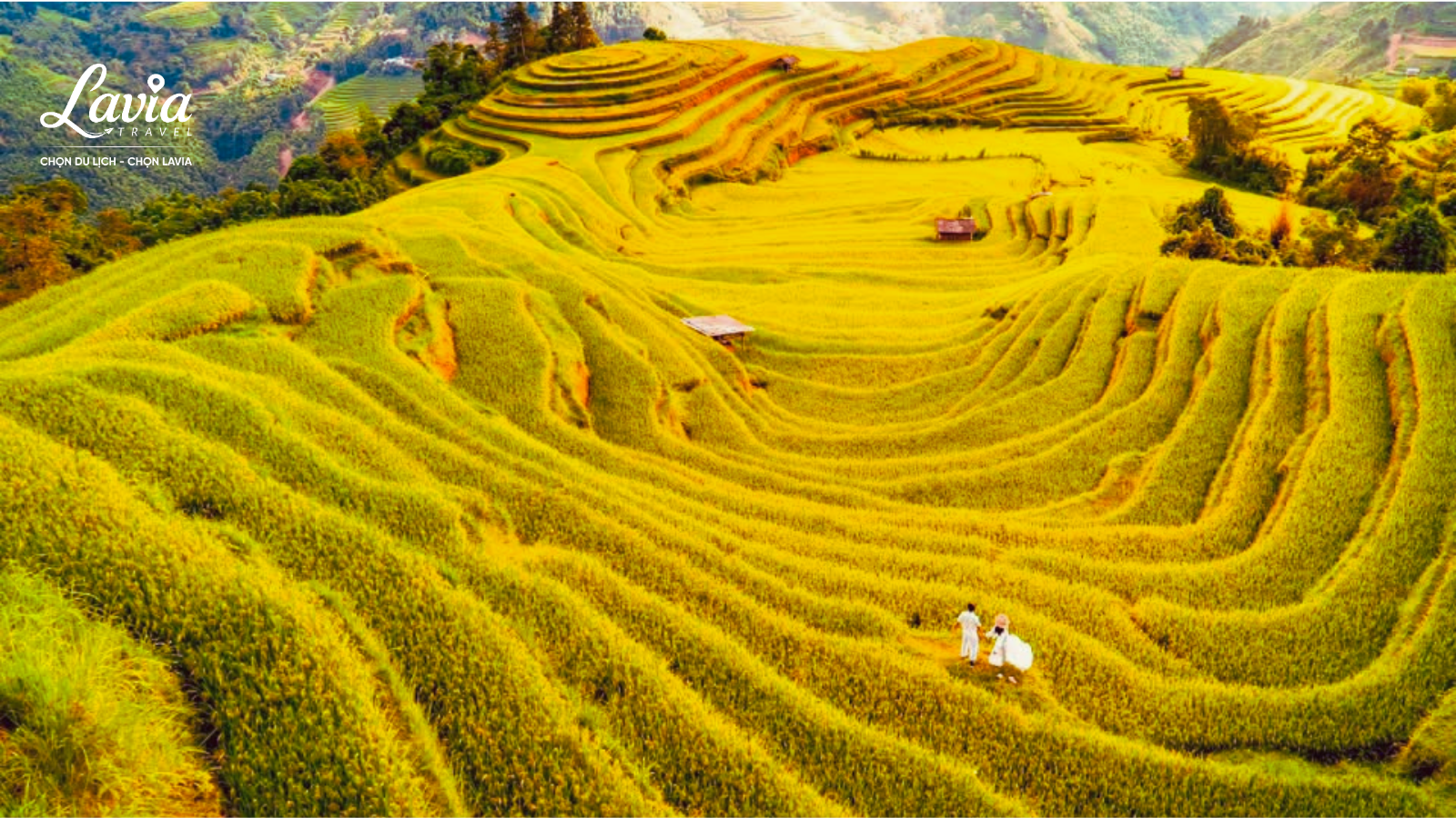 Hoàng Su Phì 