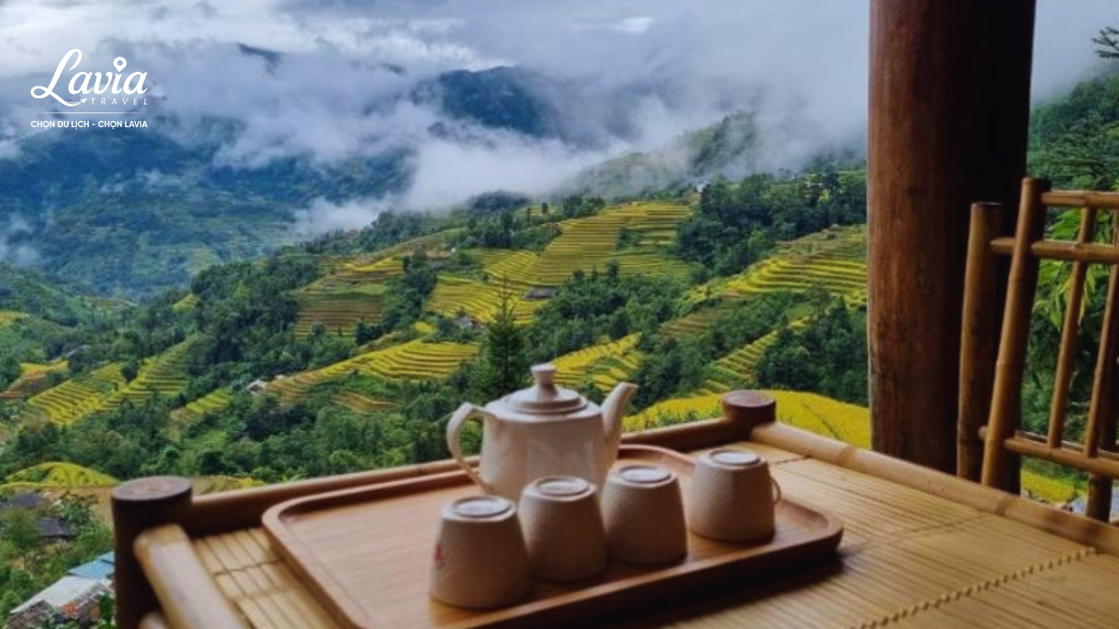 View cà phê nhìn ra cánh đồng Hoàng Su Phì 