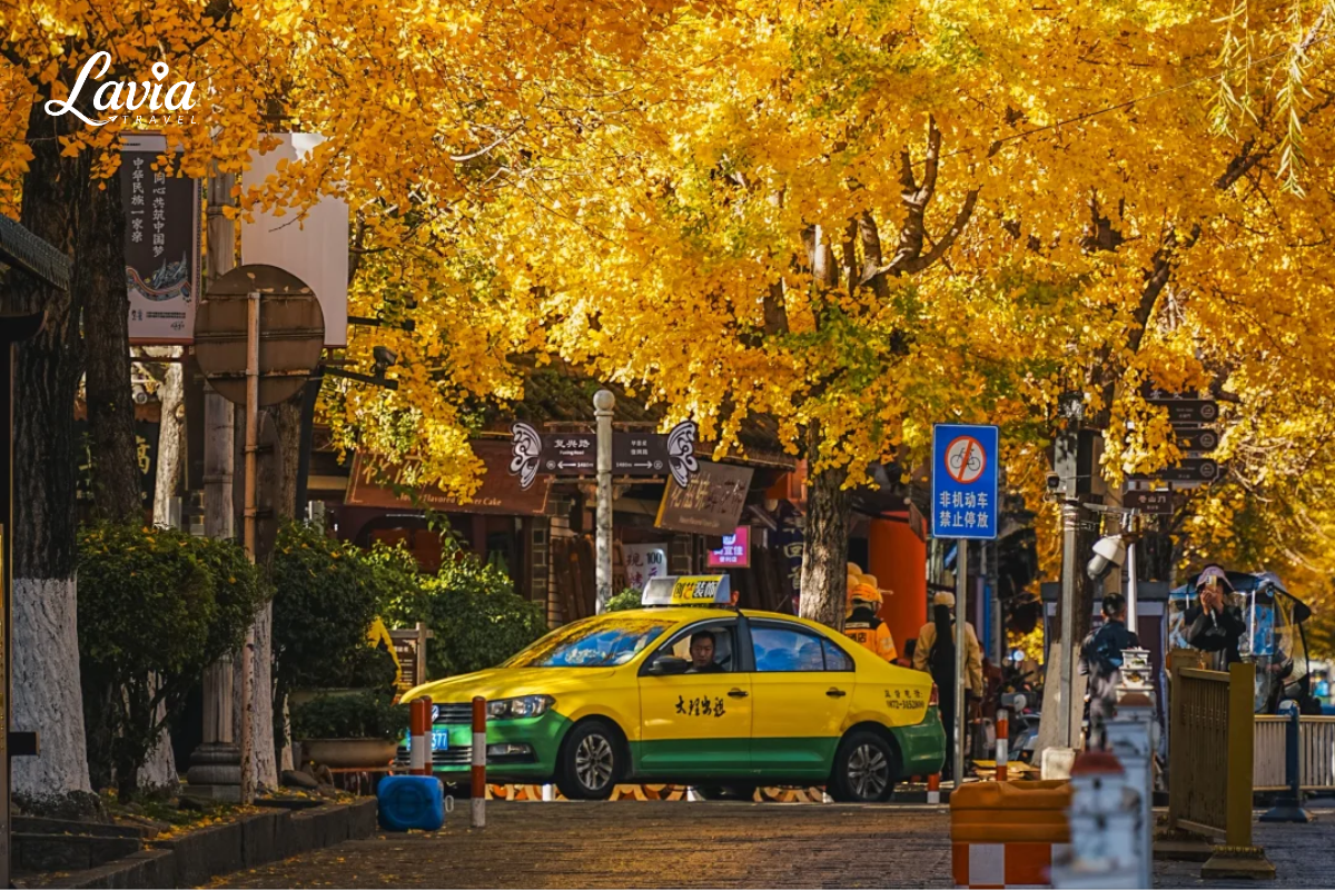 Mùa thu tại Thành Cổ Đại Lý
