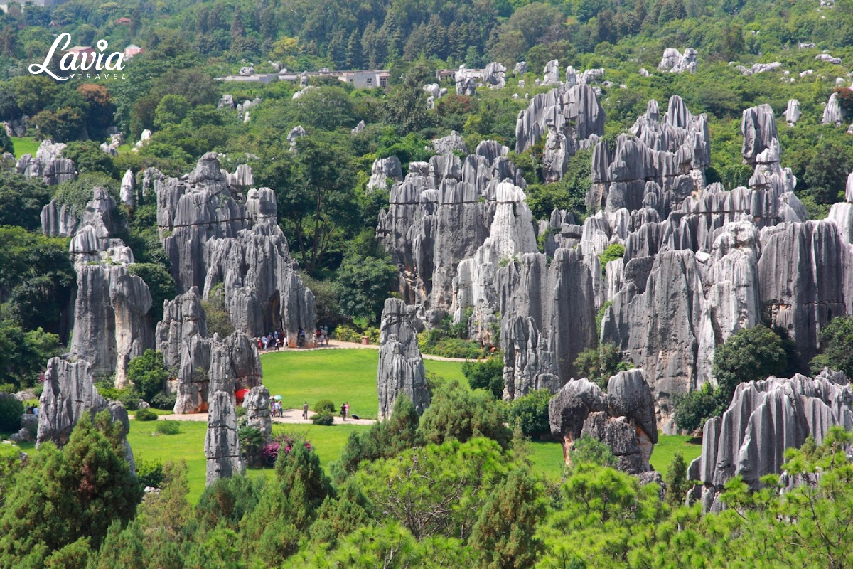 Rừng Thạch Lâm- Côn Minh Trung Quốc