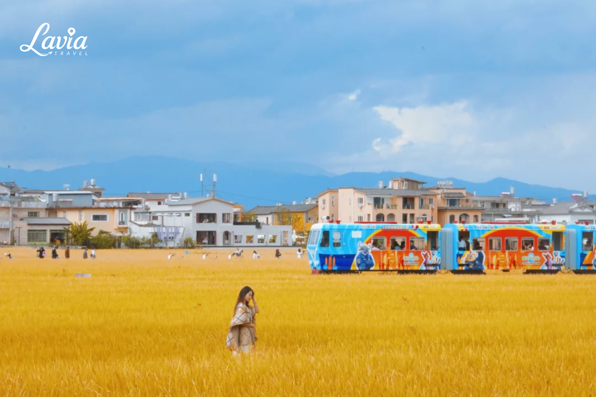 Mùa thu Đại Lý