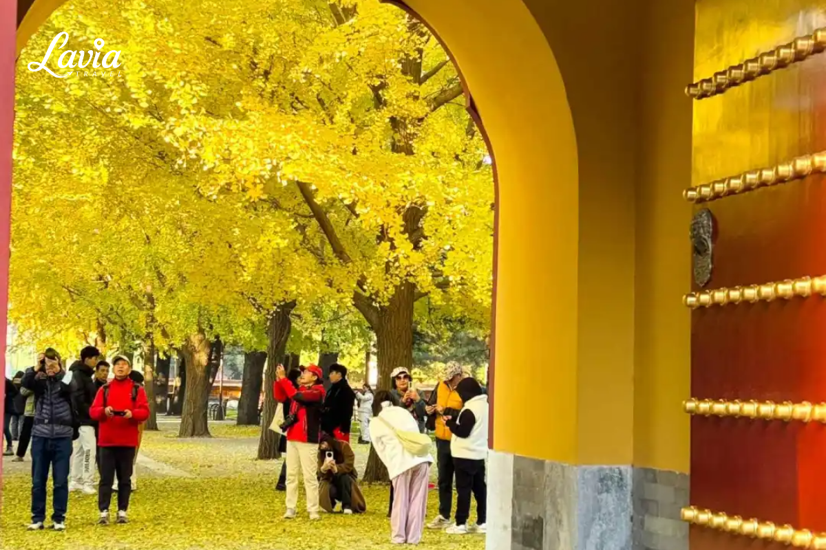 Trung sơn Park Bắc Kinh Trung Quốc
