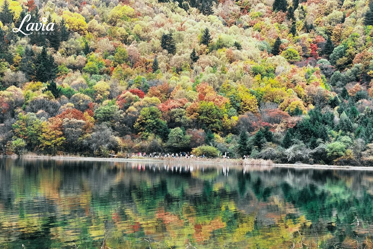 Cửu trại câu tháng 10 đang dần chuyển màu sang thu
