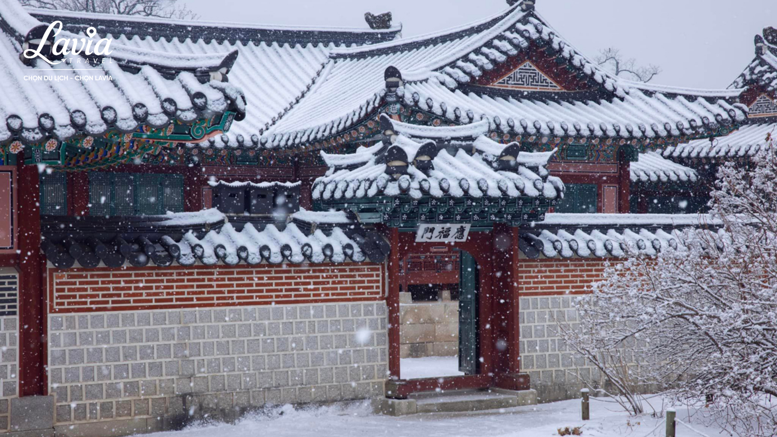 Để chuyến Tour Seoul mùa đông diễn ra thoải mái, việc chuẩn bị trước là rất quan trọng, nhất là khi thời tiết Seoul mùa đông có thể lạnh hơn nhiều so với tưởng tượng