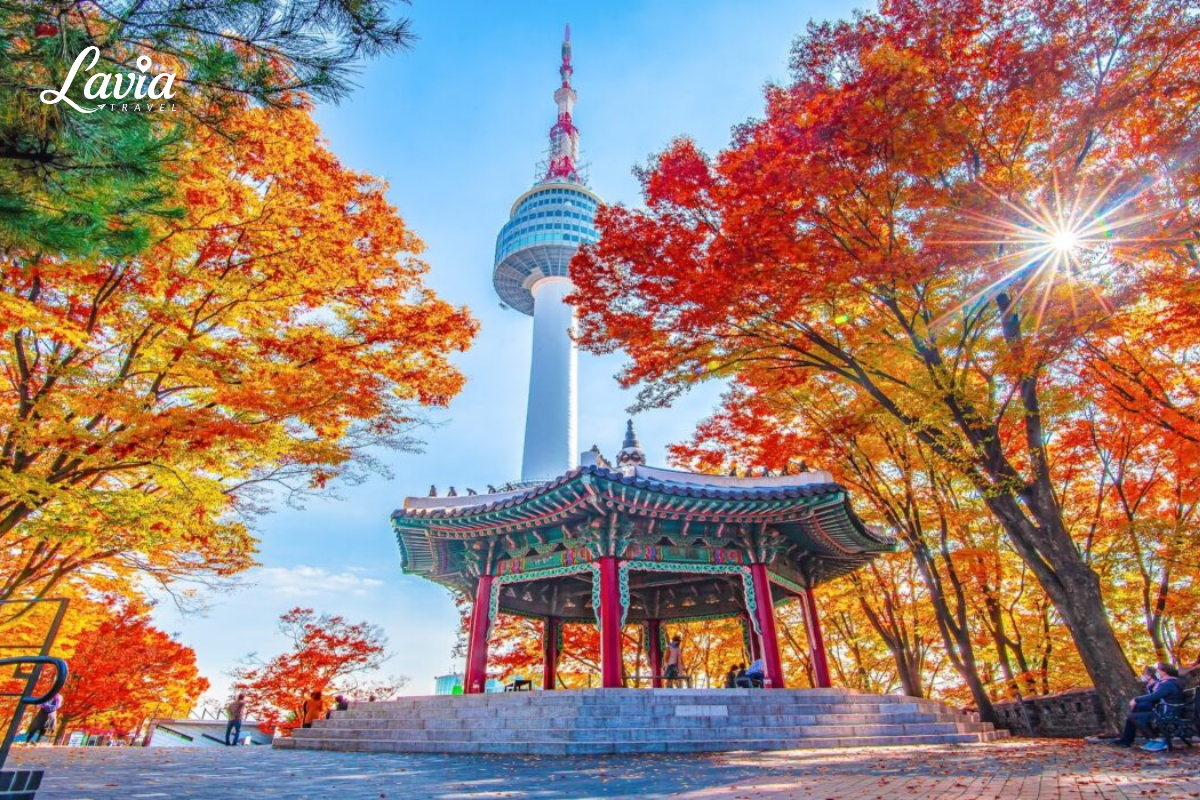 Nami island vào thu 