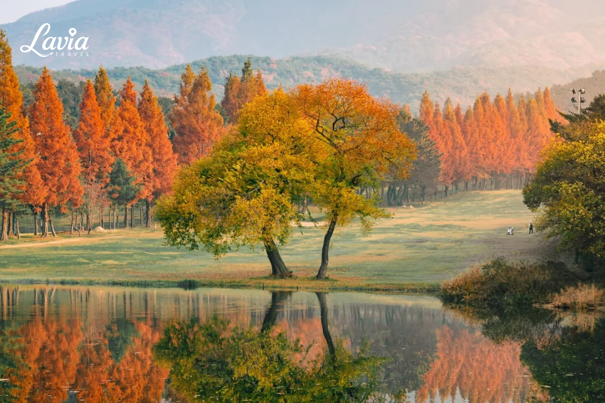 Gyeongju Hàn Quốc mùa thu 