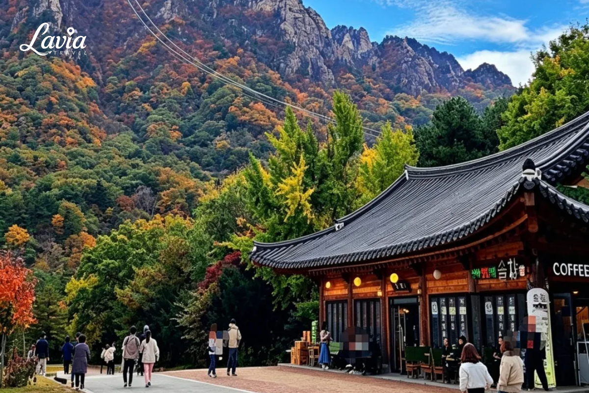 Seoraksan Hàn Quốc mùa thu 
