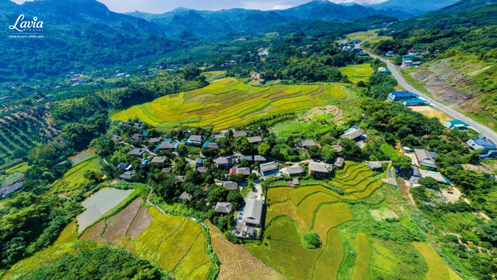 bản làng nằm giữa đồng lúa chín 