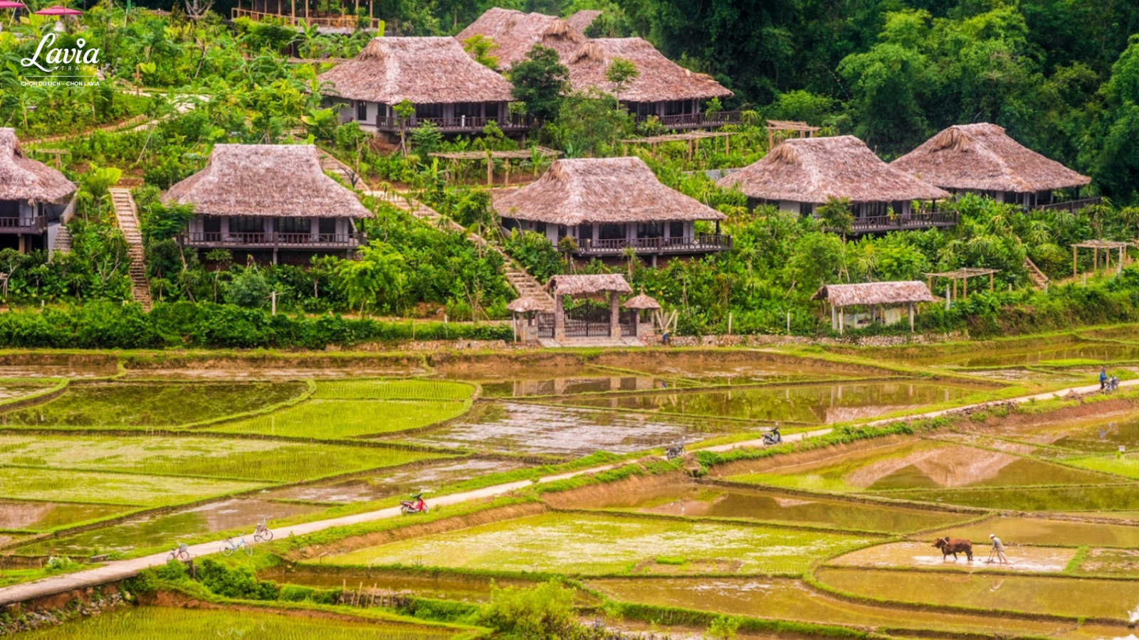 Bản Lác 