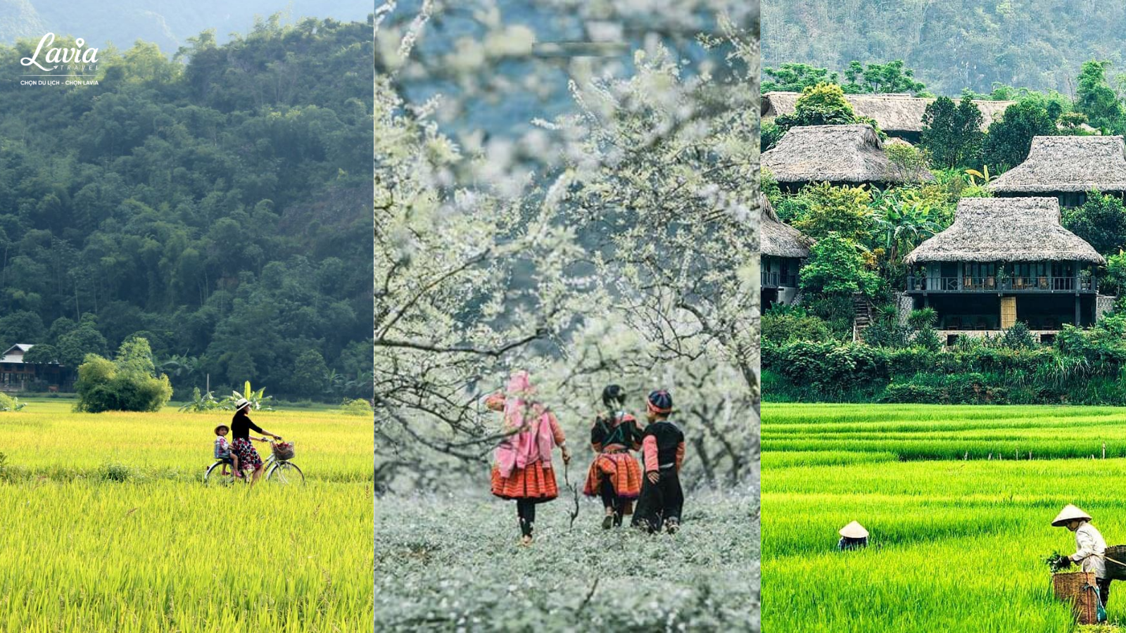 các điểm check - in đẹp 