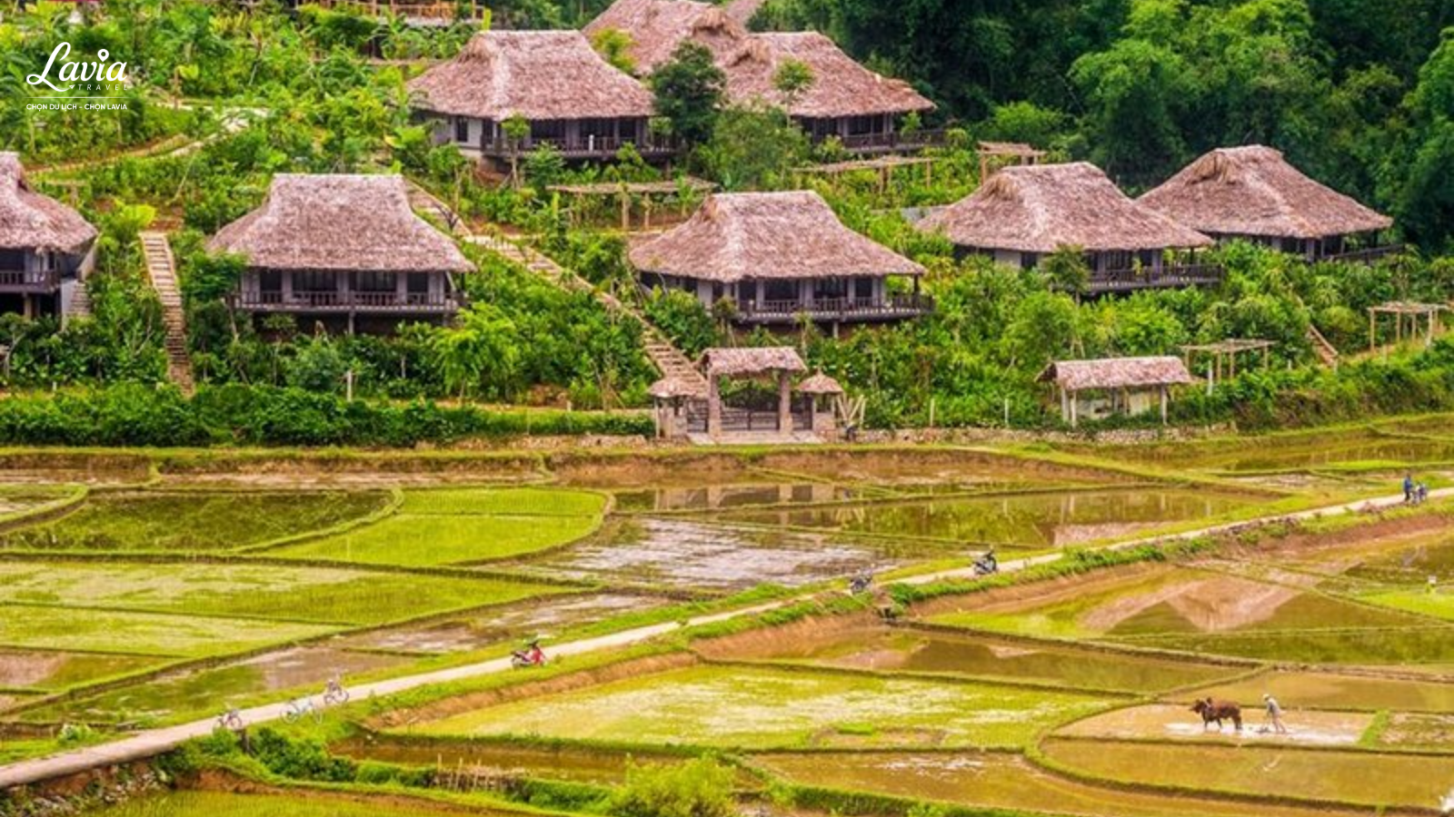 Bản lác 