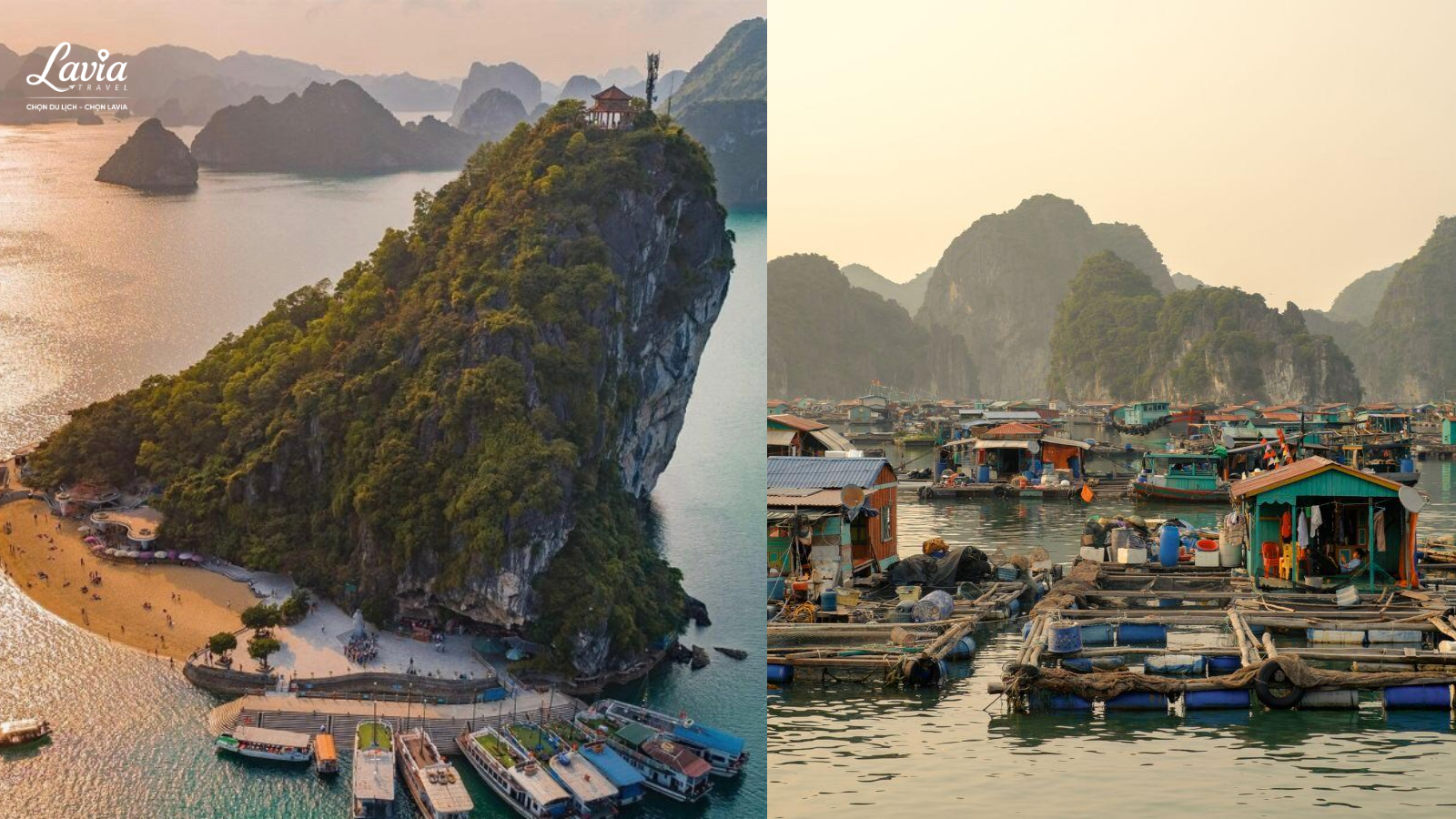 Đảo và làng chài 