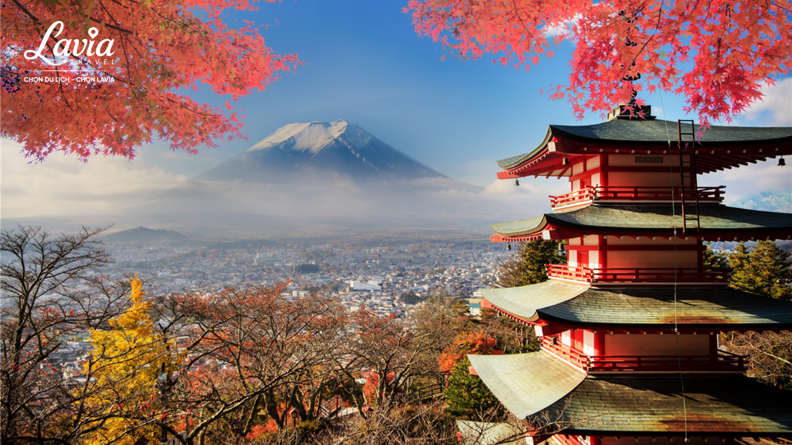 Osaka mang đến cảm giác sôi động, hiện đại và giàu năng lượng