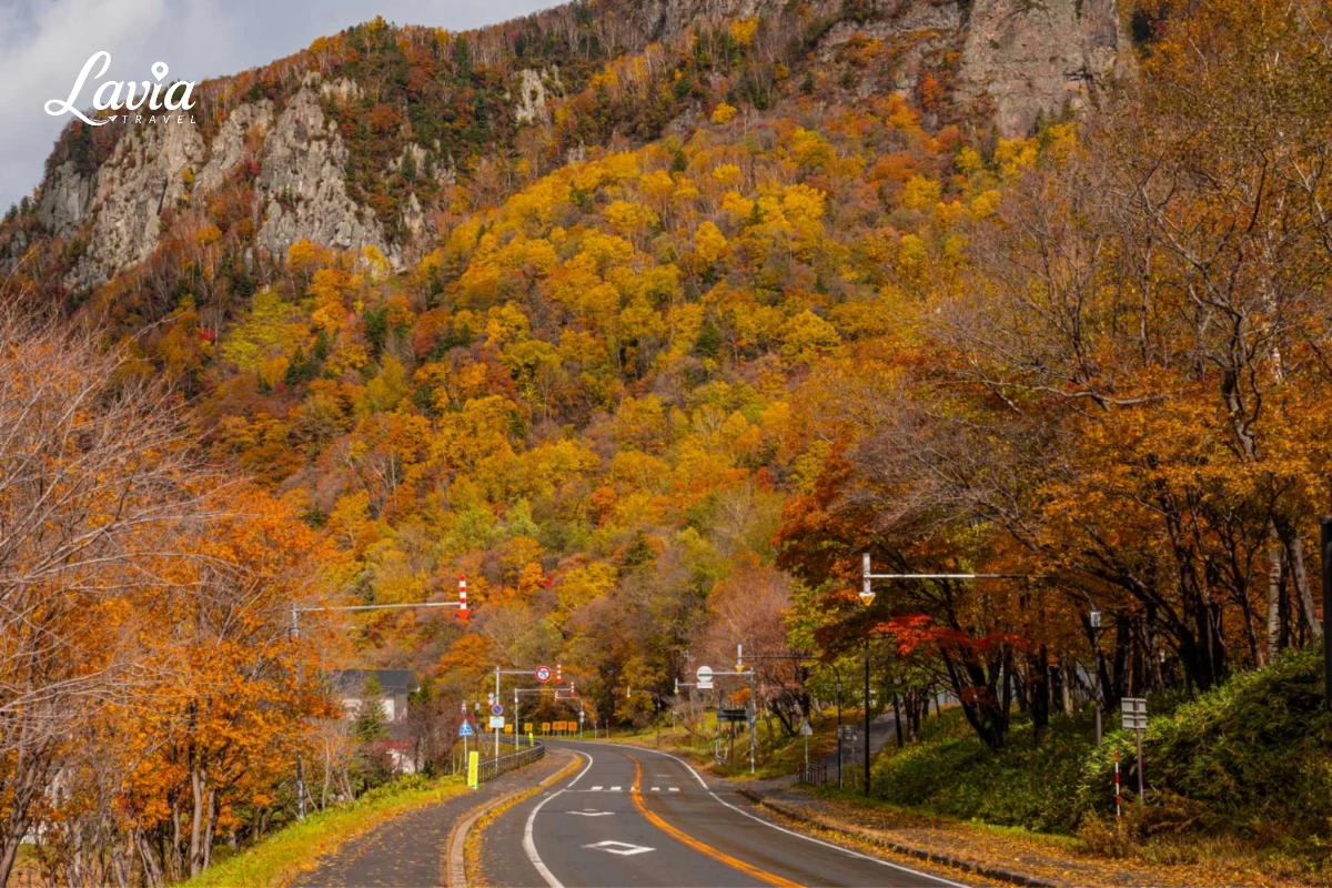  Hokkaido Nhật Bản thu 