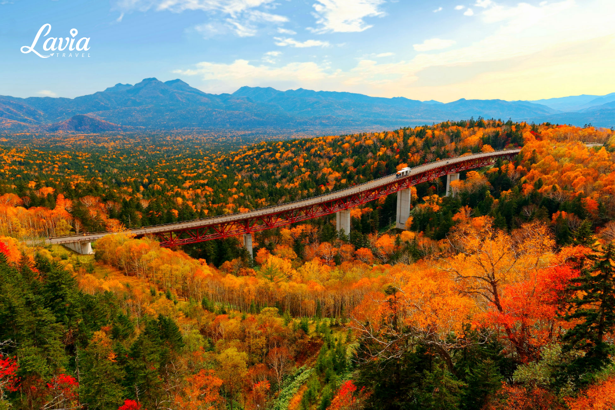 Mikuni pass Nhật Bản mùa thu 