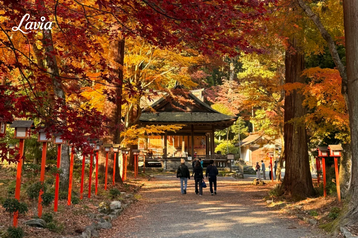 đường phố Kyoto Nhật Bản 