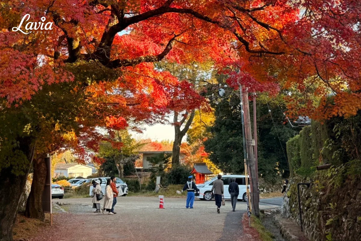 Đường phố Kyoto Nhật Bản vào thu 