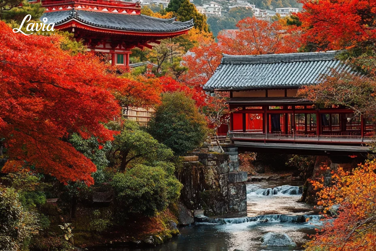 Khung cảnh Kyoto Nhật Bản vào thu 