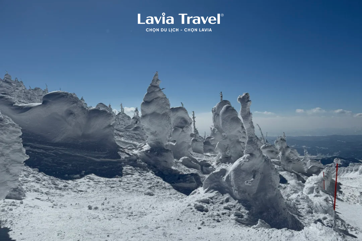 Zao Snow Monsters Nhật Bản