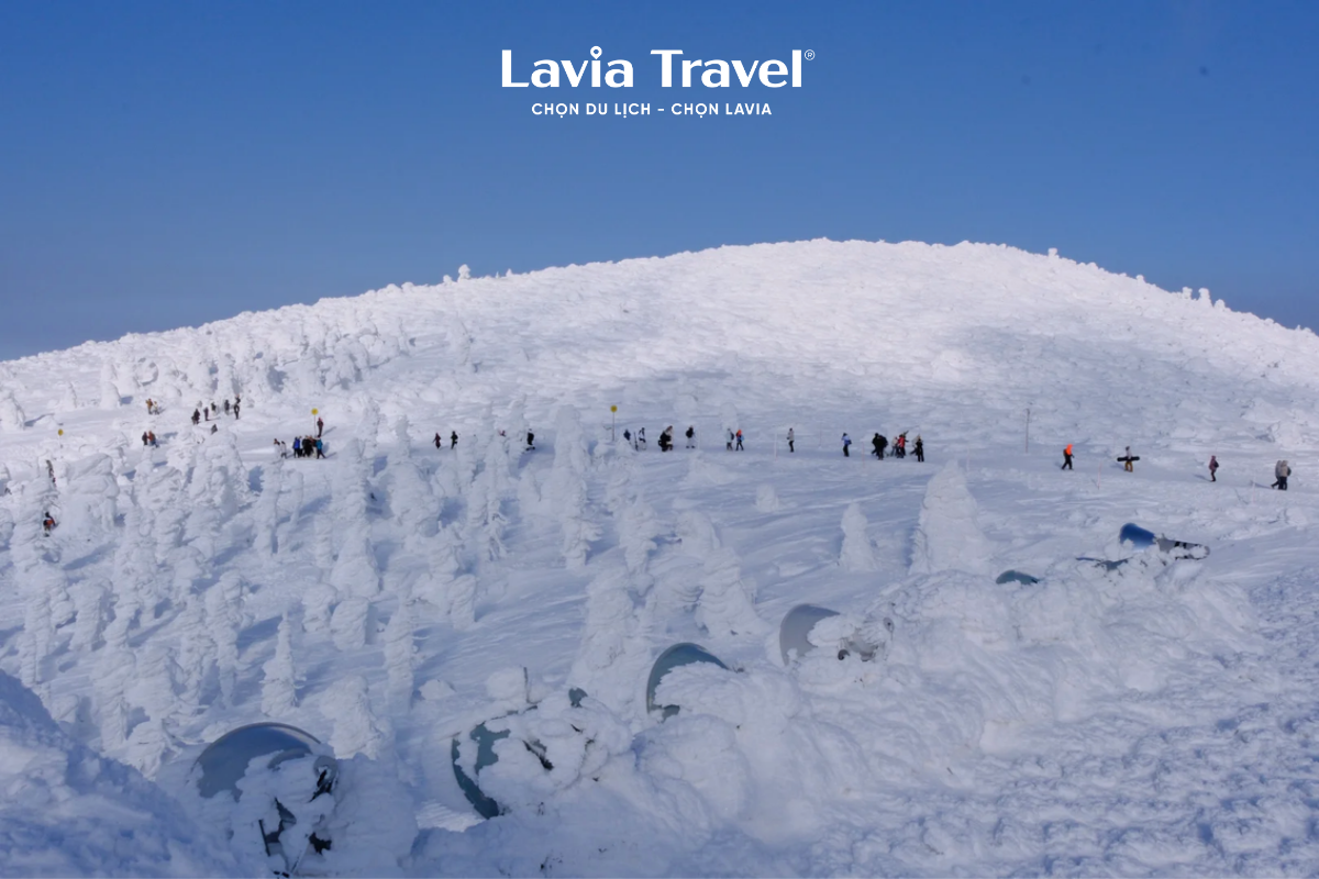 Zao Snow Monsters Nhật Bản