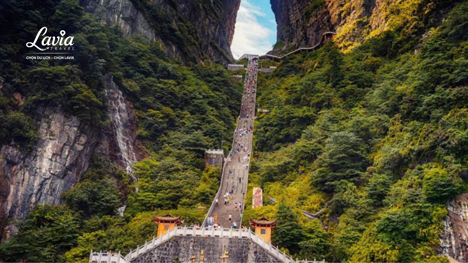 Khi nào đặt tour là hợp lý? 