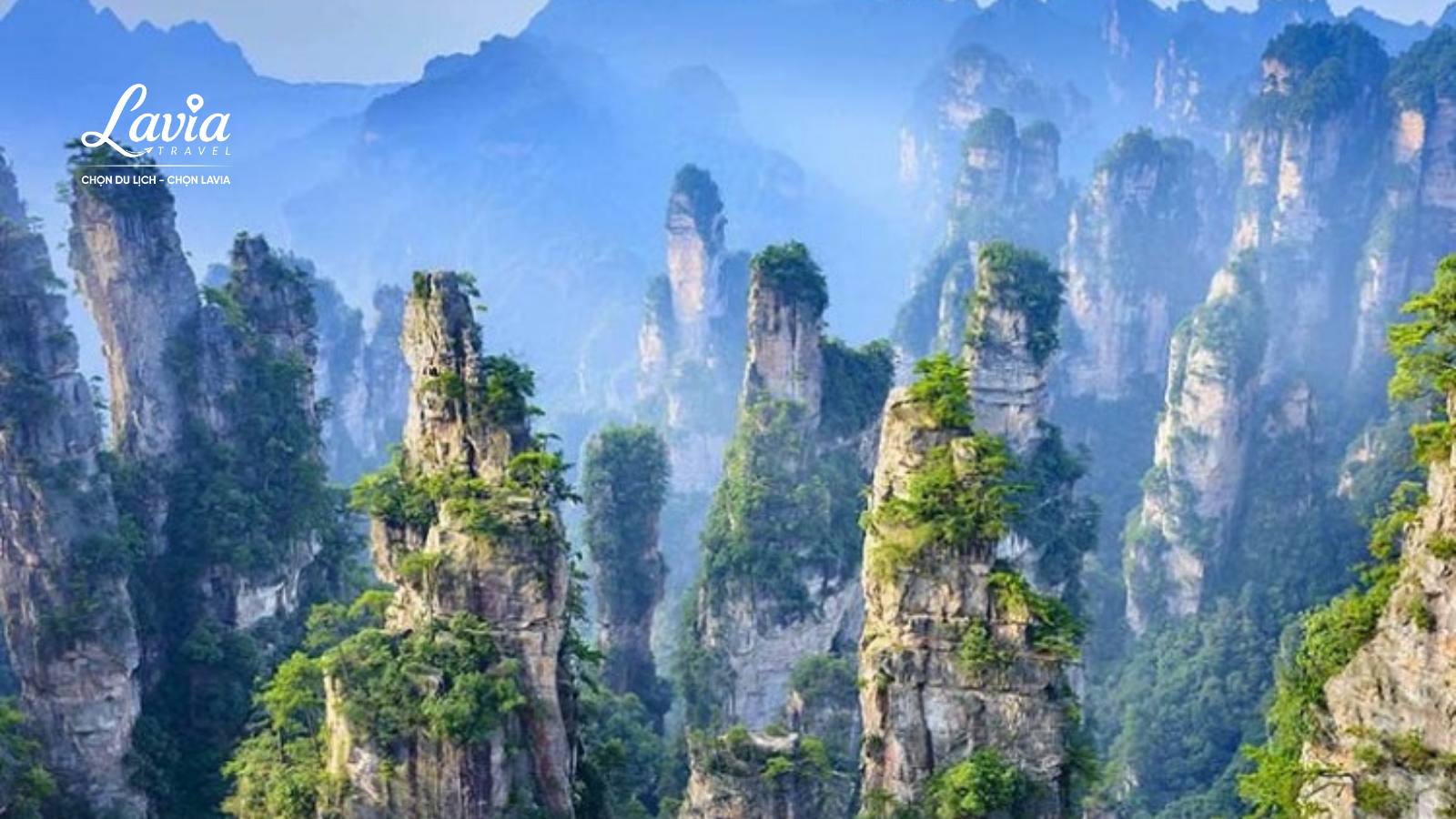 Kinh nghiệm Du lịch Trương Gia Giới