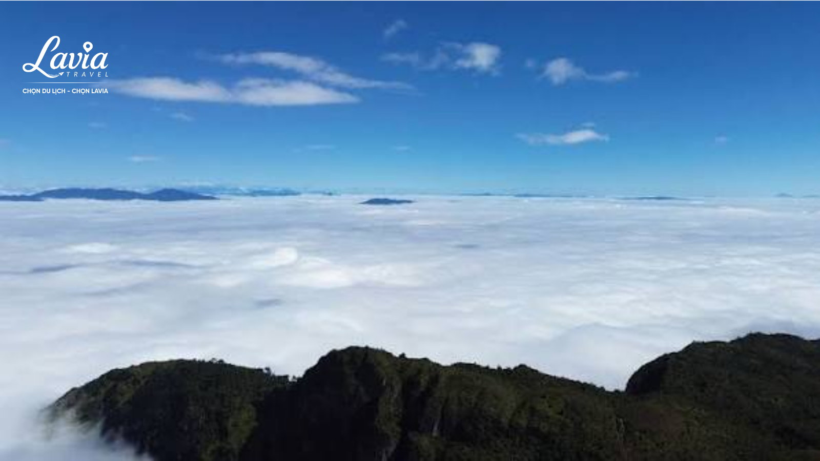 Biển mây Y Tý 
