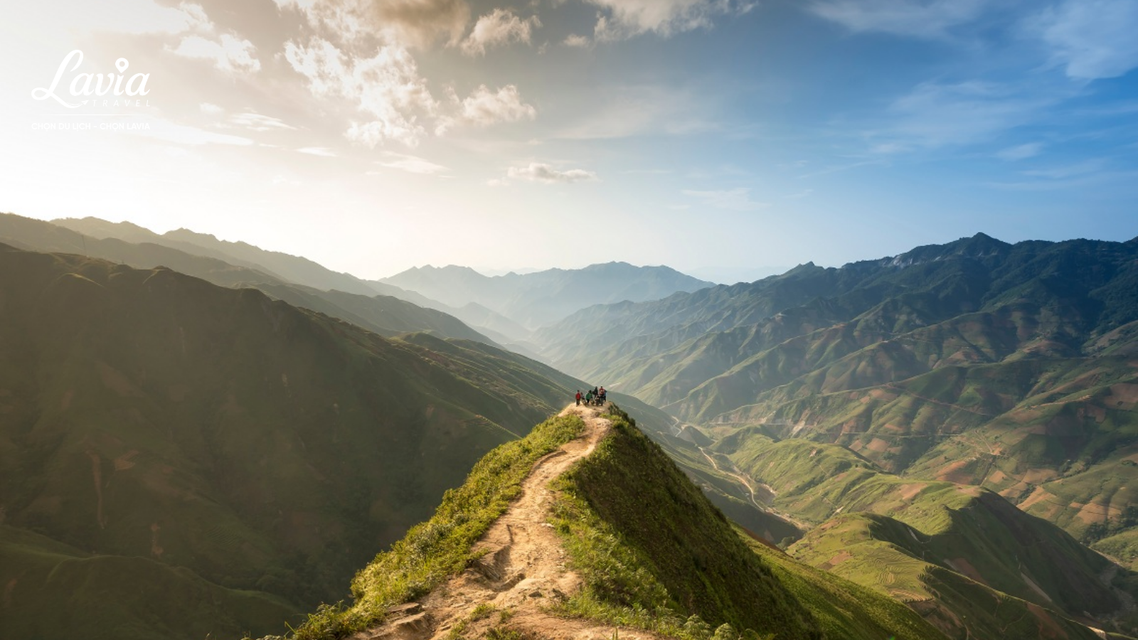 Sống lưng khủng long Tà Xùa 