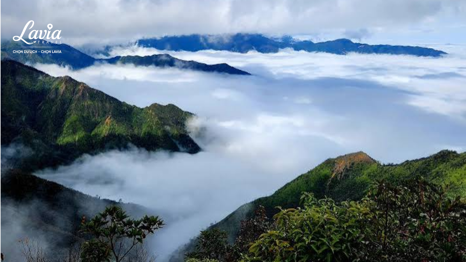 Săn mây Tà Xùa 