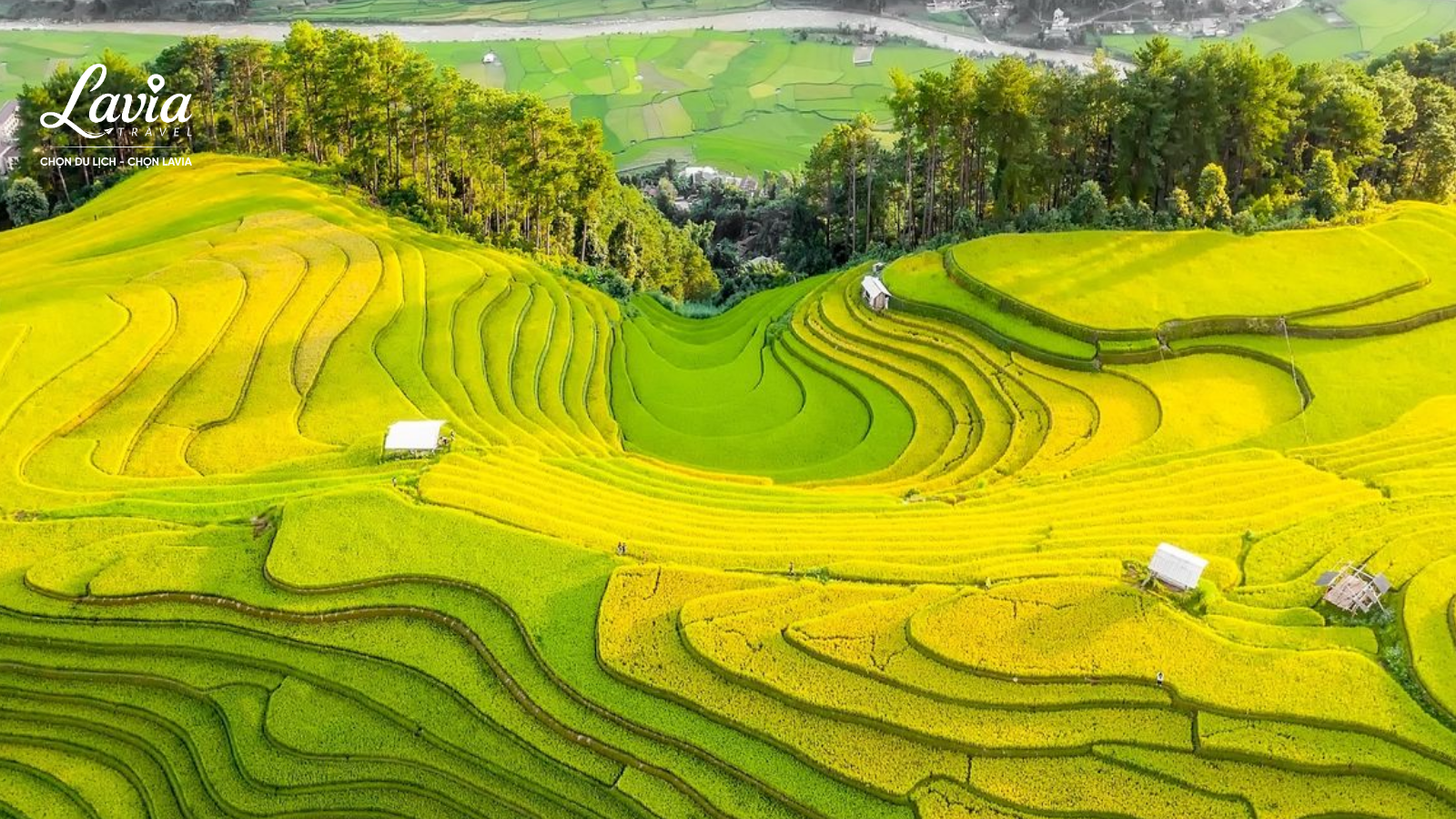 Ruộng bậc thang Y Tý 