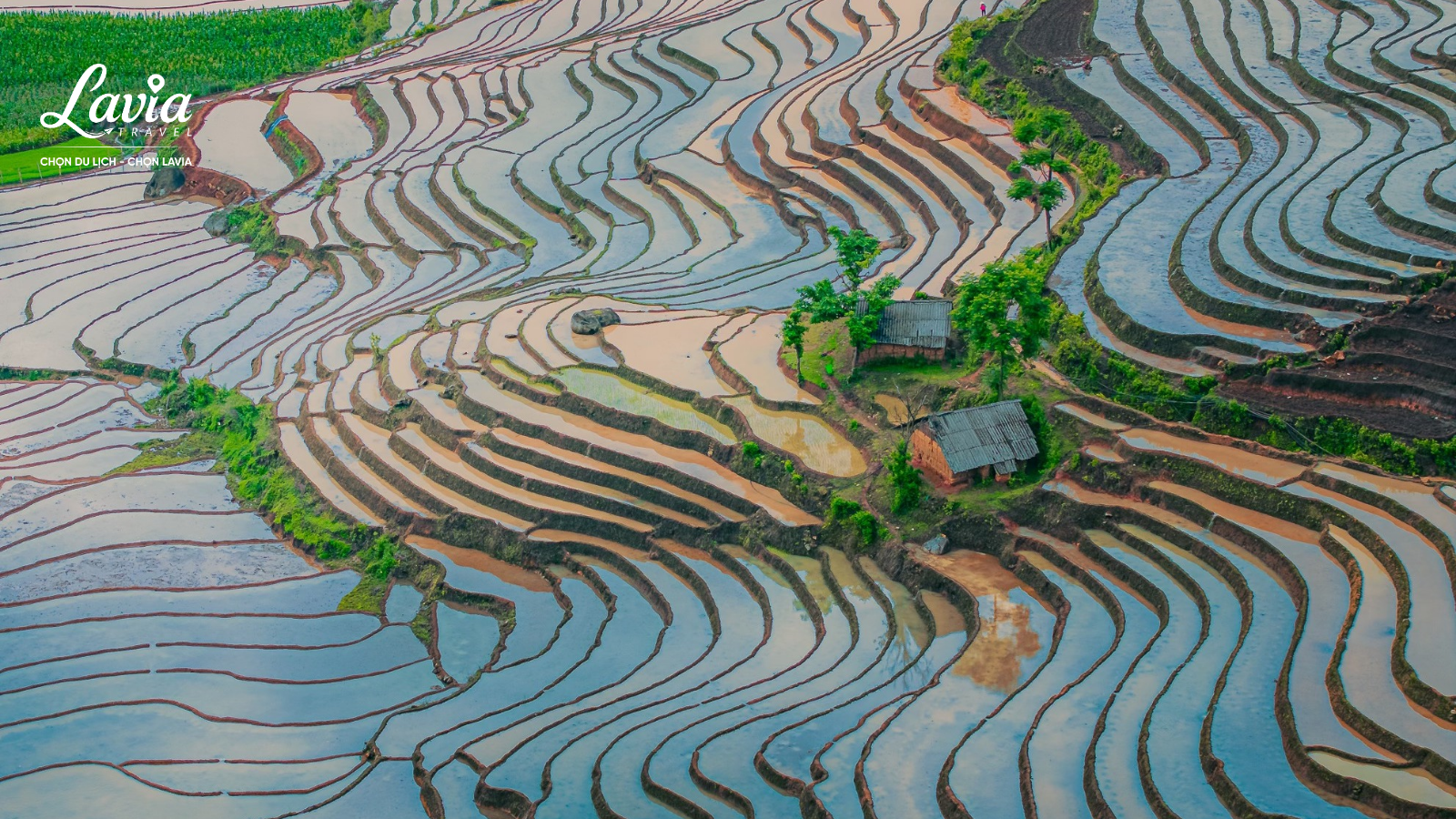 Y Tý mùa nước đổ ruộng bậc thang 