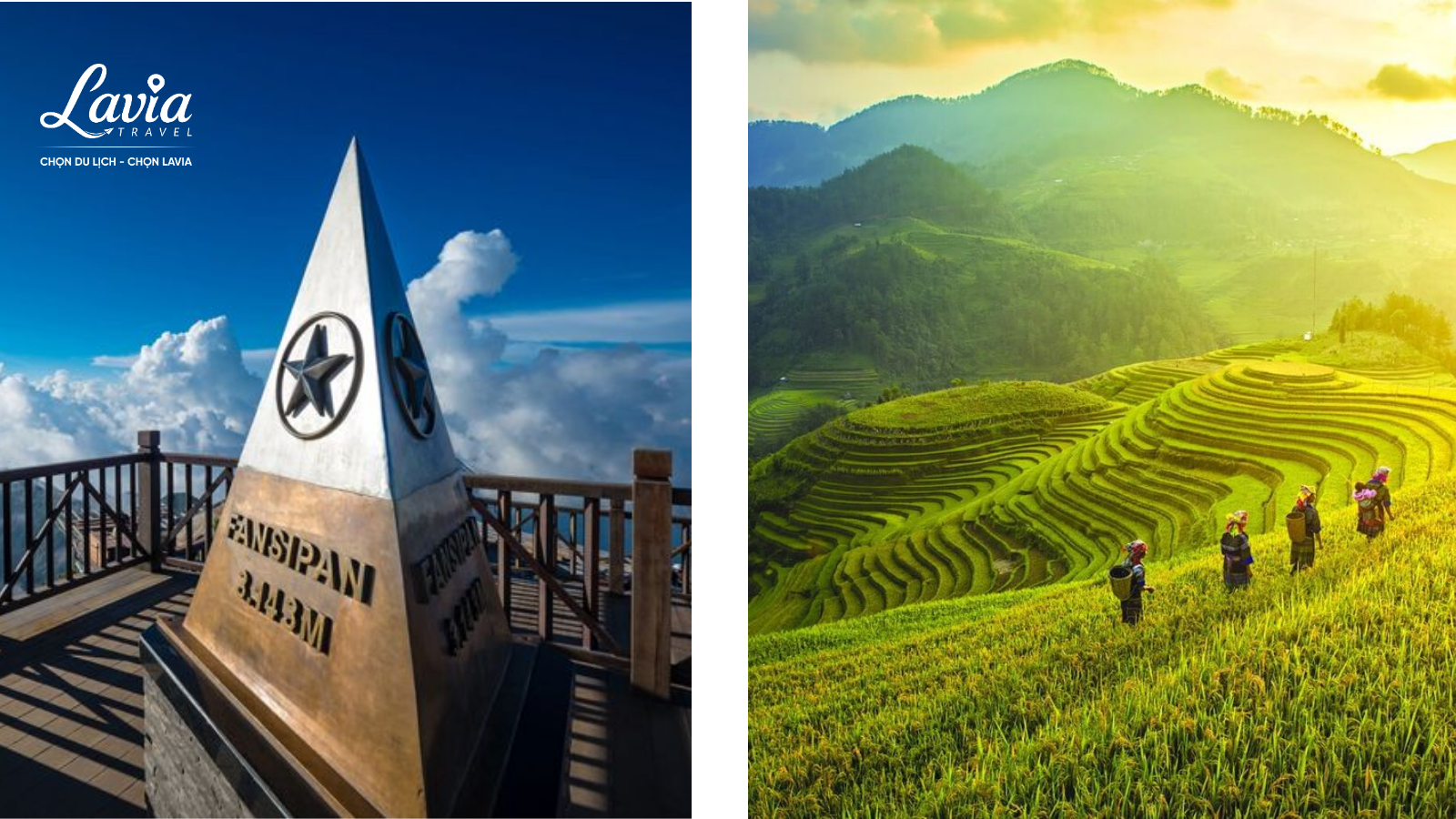 Sapa