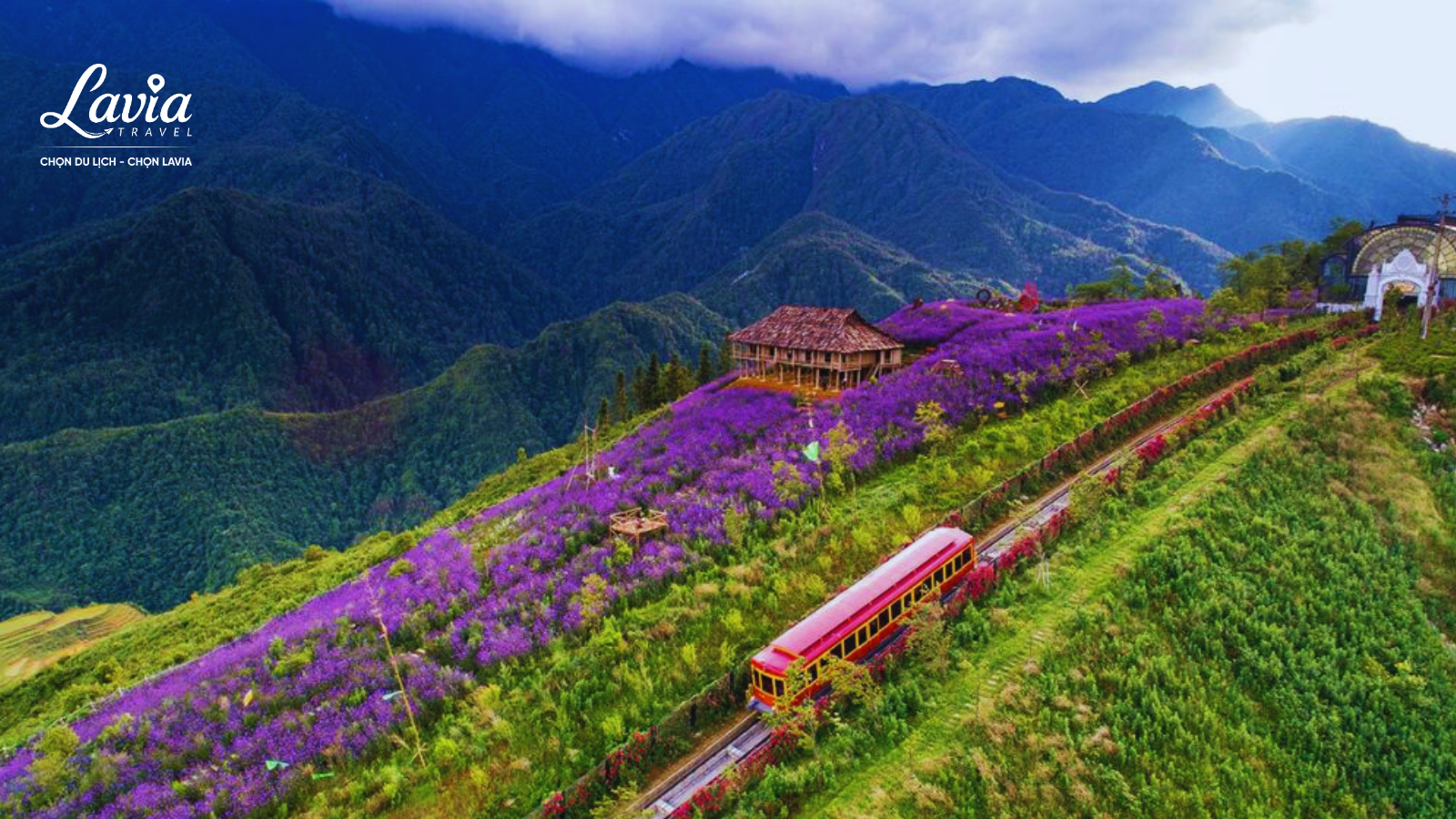 thung lũng hoa mường thanh 