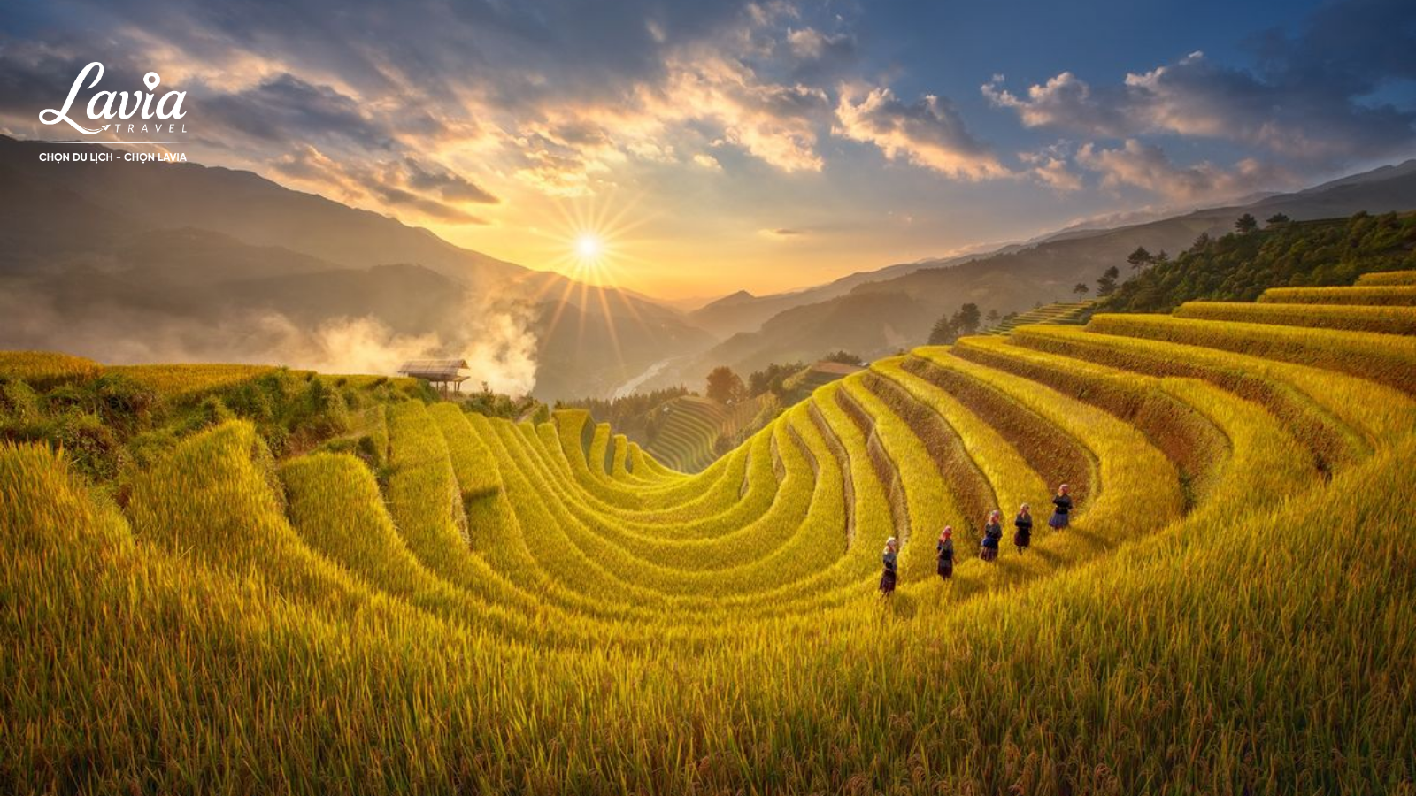 Mù Cang Chải 