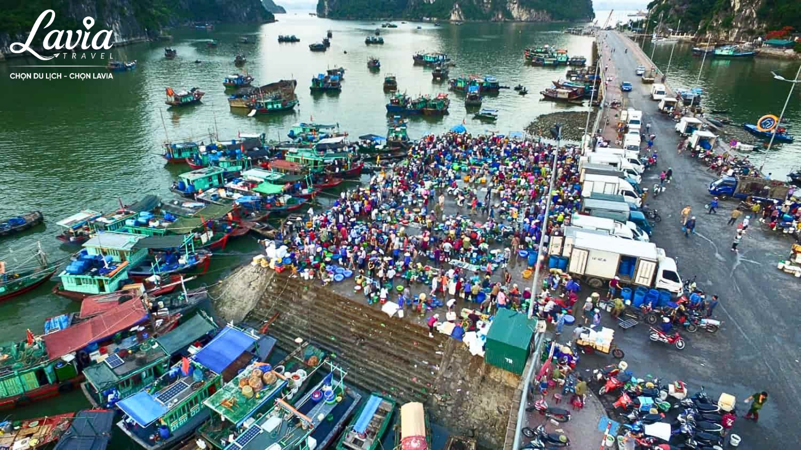 Chợ hải sản tươi sống mỗi ngày 